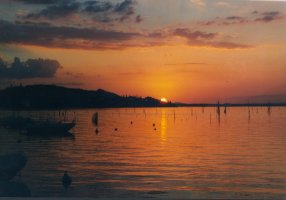 beutiful sunset