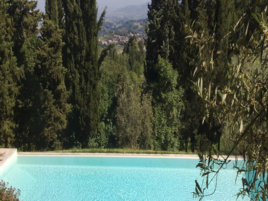 relaxing scenery swimmingpool